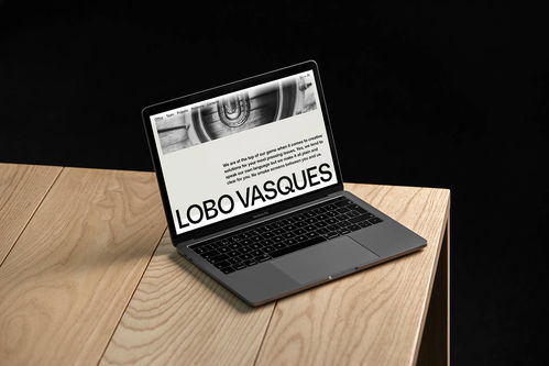 专业之声｜LOBO VASQUES精品律师事务所品牌视觉与广告设计解析